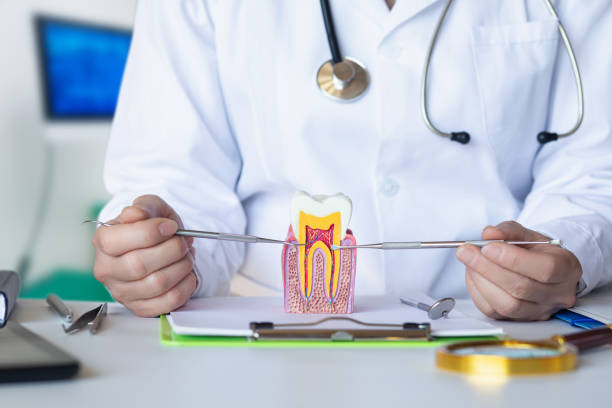 Best Emergency Dental Services for Seniors in Eastport, NY